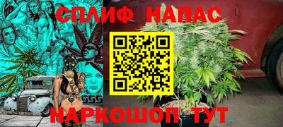 крисы Заводоуковск